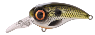 0001_Spro_Fat_Iris_50_CR_[Shad].jpg